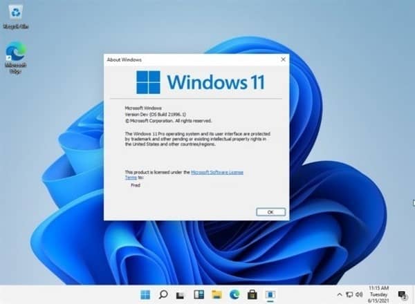 Windows 11ϵy(tng)΢ܛ2025Win 10fҊ