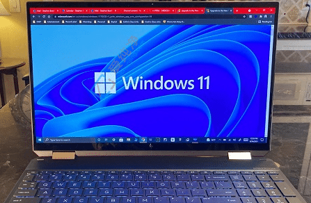 win11proʲô汾-win11pro汾Ԕ