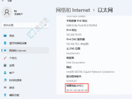 Win11ϵy(tng)пٲ鿴MACַķվW(wng)j(lu)