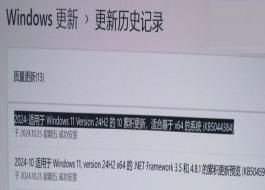 Win11 24H2 26100.2161 A(y)[棺ޏ(f) 8.63GB SFC  BUG